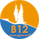 B12 Management